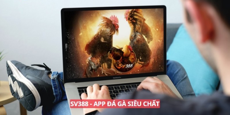 App đá gà online SV388 siêu chất lượng