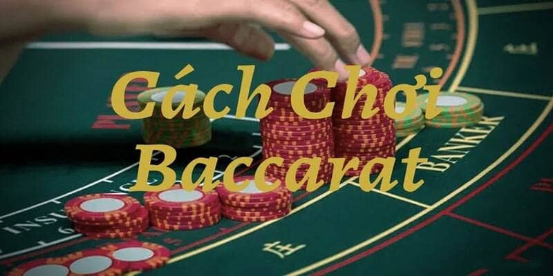 Baccarat Zbet là sự lựa chọn hàng đầu của rất nhiều bet thủ